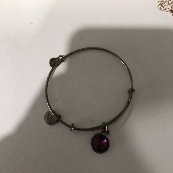 Alex and Ani amethyst birthstone(February) silver - Picture 3 of 4